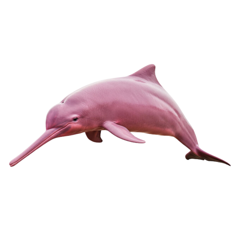 Boto-cor-de-rosa, mascote da Criativo 92