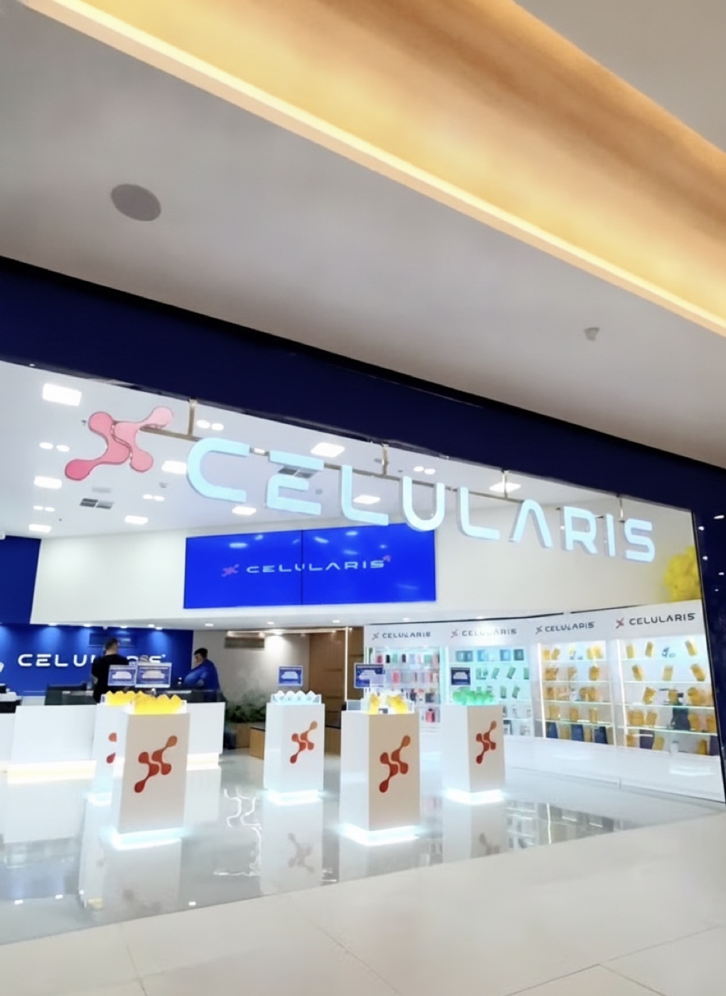 Case Celularis